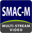 multi-stream video coder